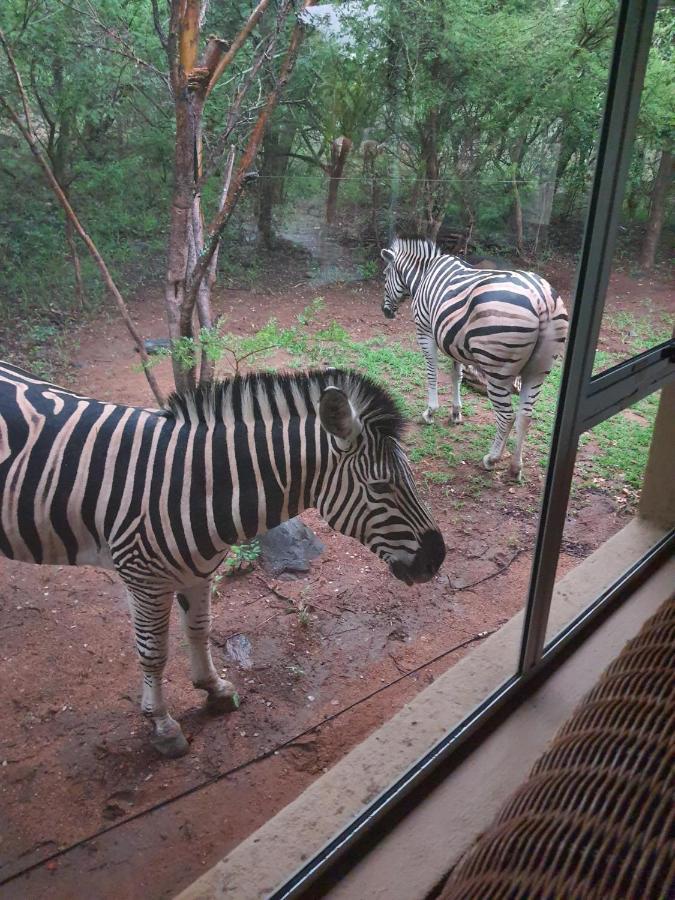 Canyon Guest Villa Hoedspruit Ngoại thất bức ảnh
